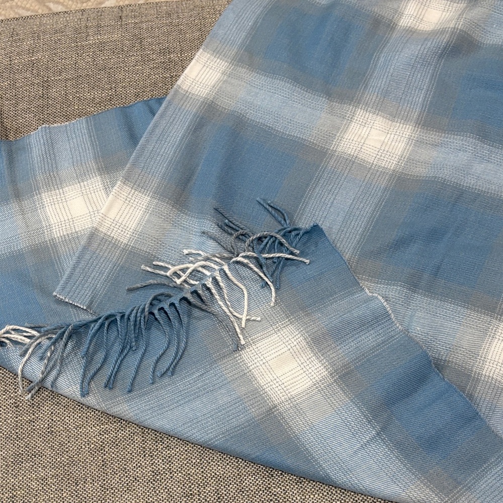 GAP Light Blue and White Fringe Scarf